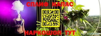 МДПВ Кинель